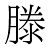 滕的香港明体
